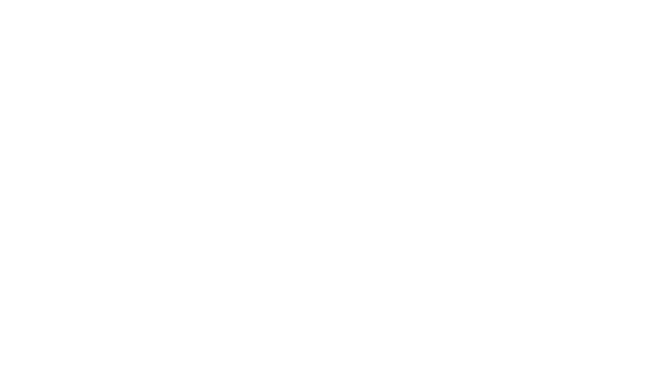 Safe hold, almost invisible 